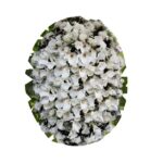 Coroa ouro Flores de copo de copo de leite